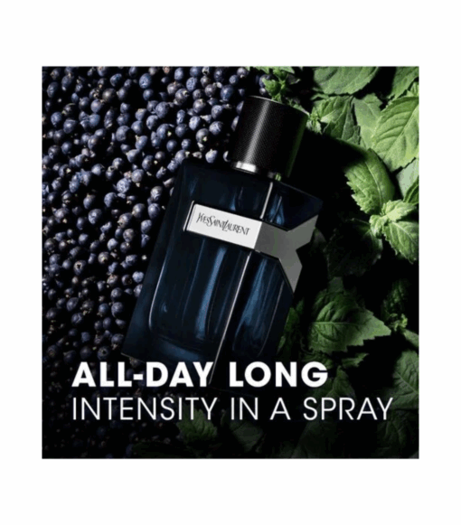 Y Intense EDP For Him - Image 3