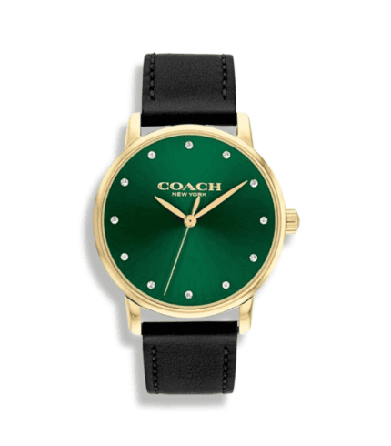 Coach wrist Watch model 14503972