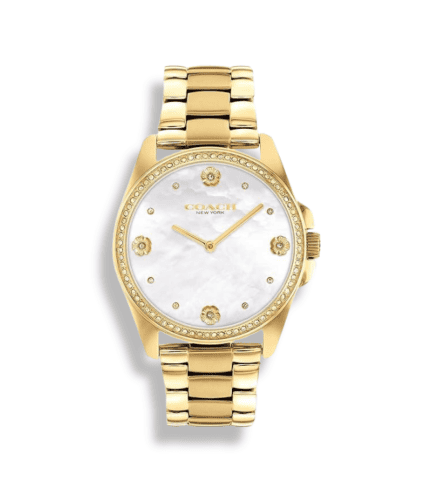 Coach wrist Watch model 14504109
